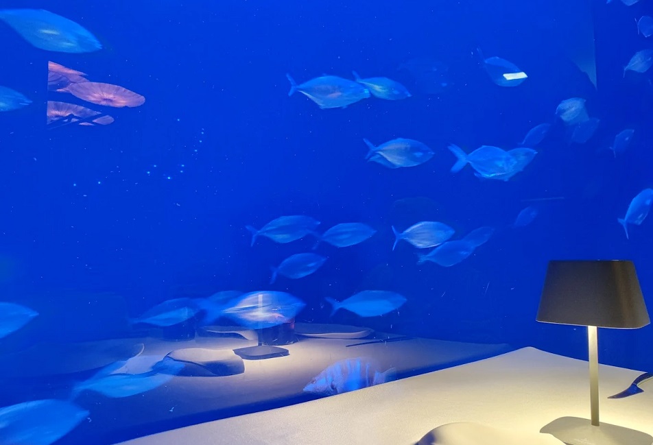 El Restaurante Submarino, un espacio de alta cocina mediterránea de autor situado en el interior del Oceanogràfic de València